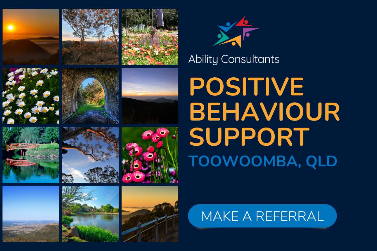 Article behaviour support ndis toowoomba