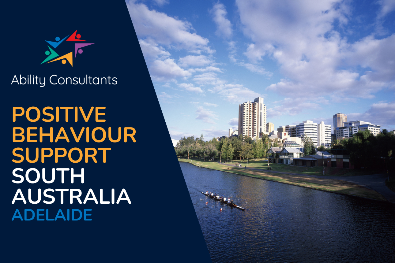 Article ndis behaviour support pbs adelaide