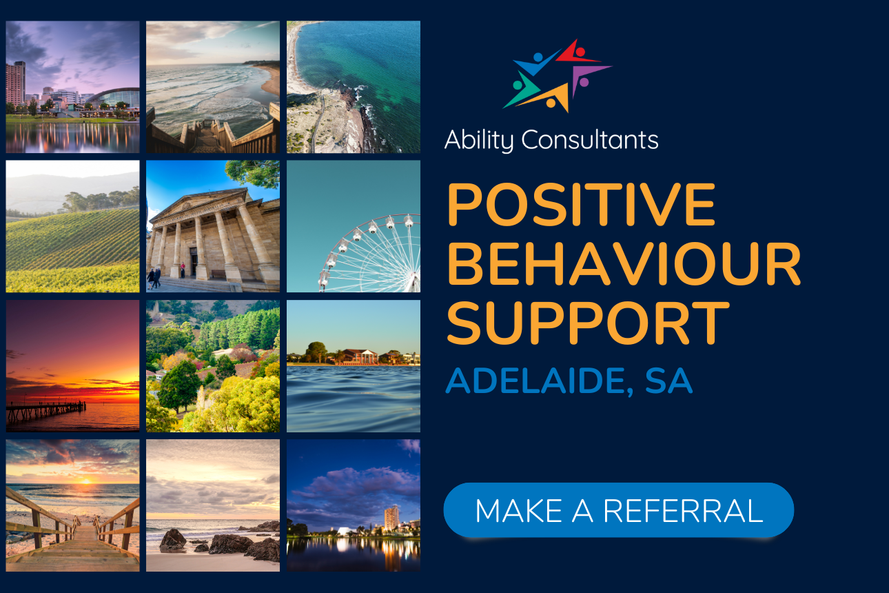 Article ndis positive behaviour support pbs adelaide