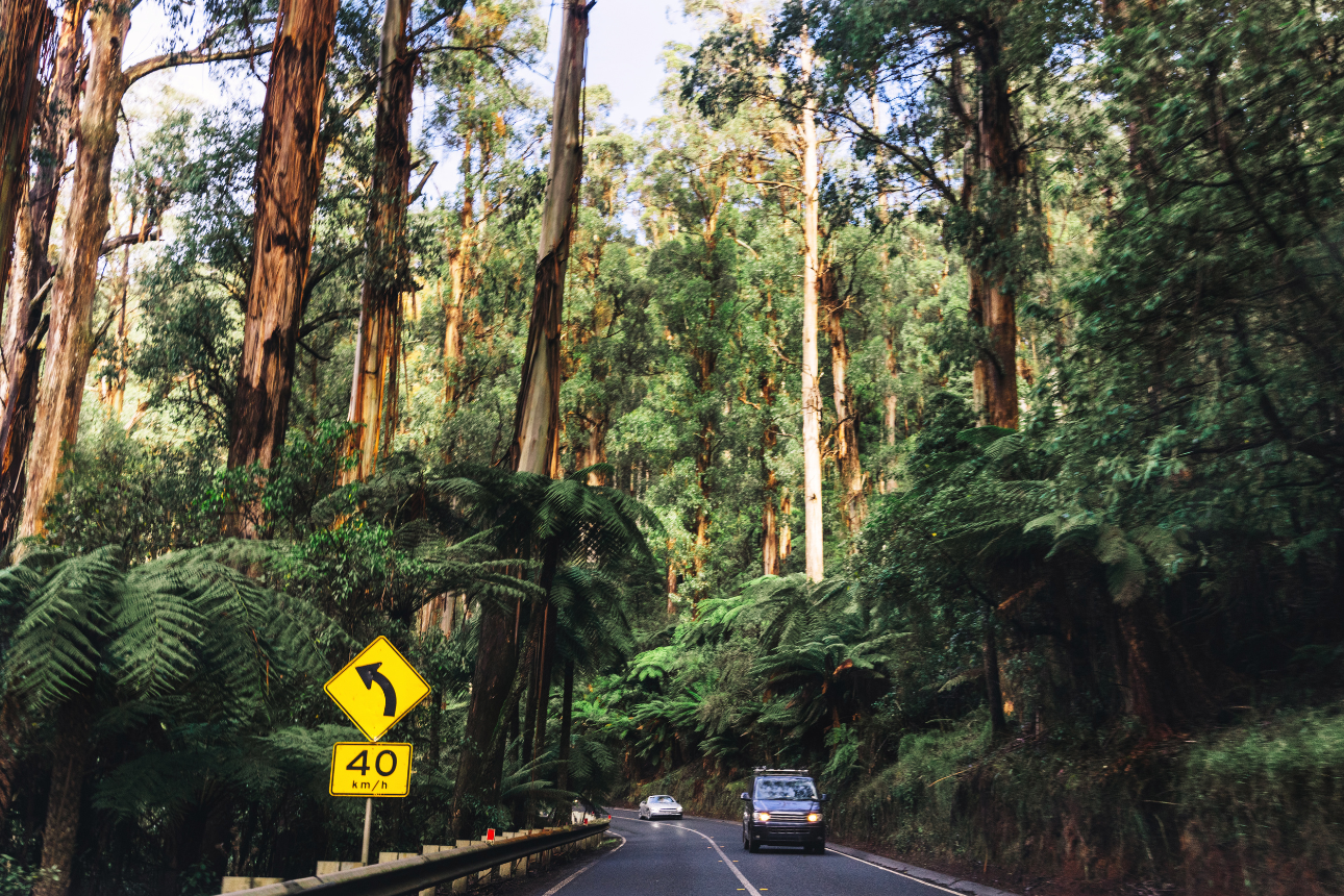 Article positive behaviour support ndis pbs knox yarra ranges