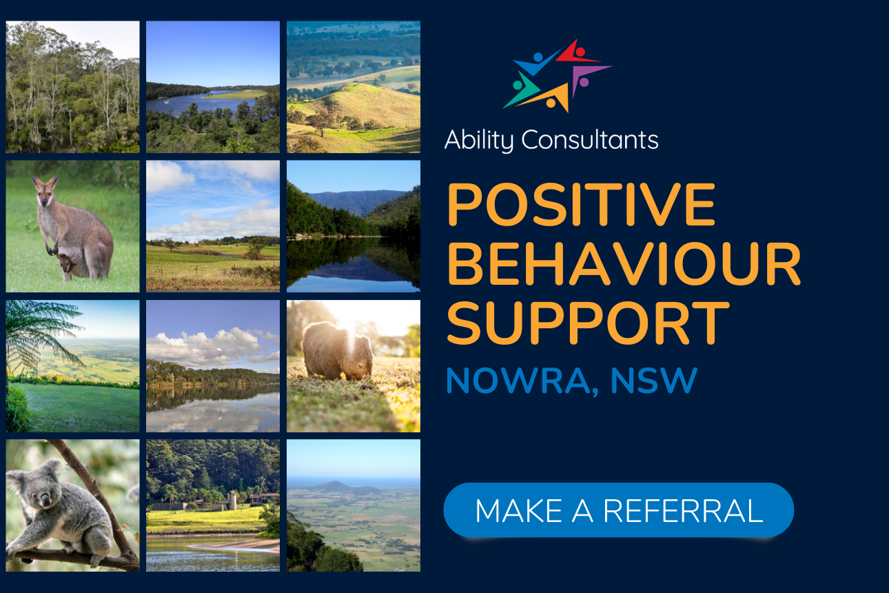 Article positive behaviour support nowra ndis pbs